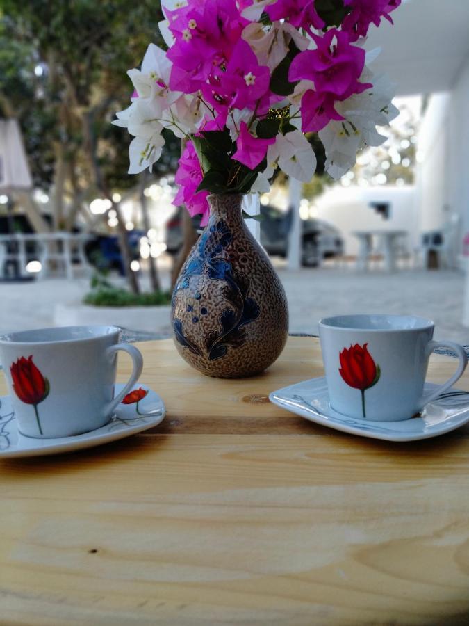 Henchir Ejdoud Guest House Kairouan Exterior photo